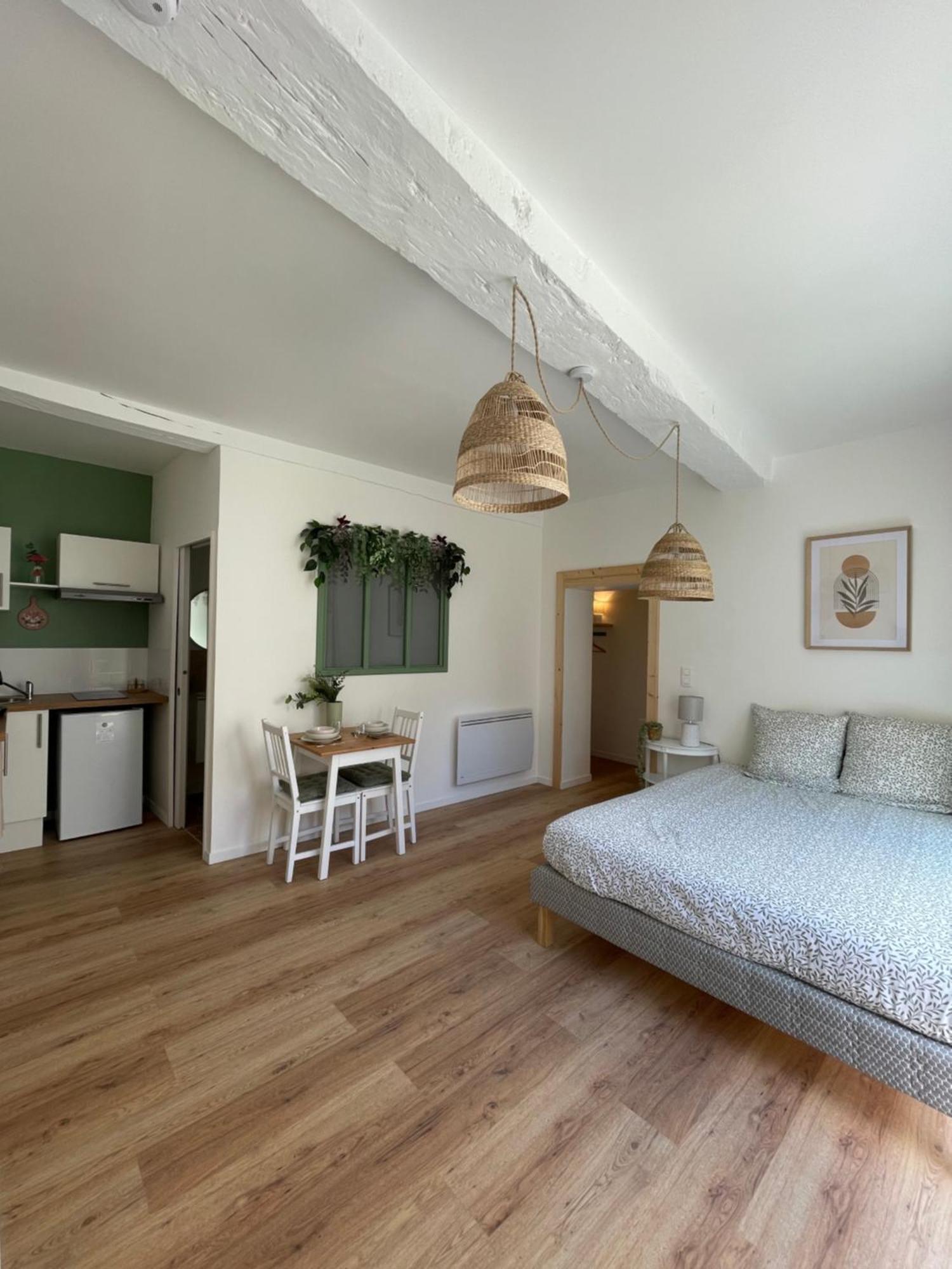 Appartement Chaleureux Blere Bagian luar foto
